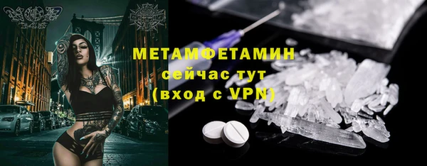 крисы Новозыбков