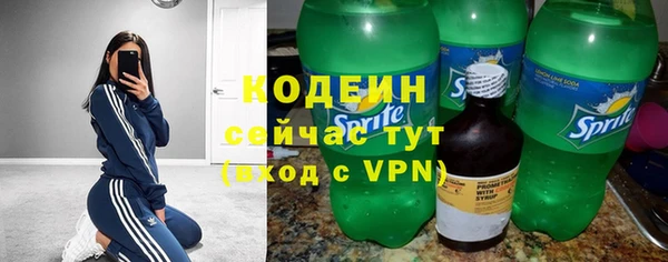крисы Новозыбков