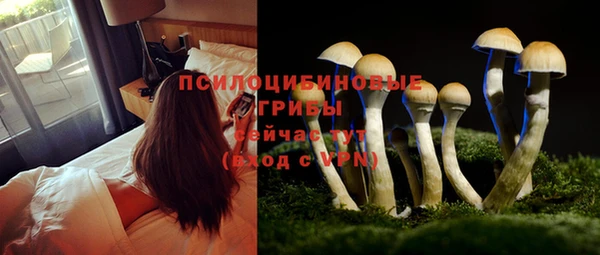 бошки Новокубанск