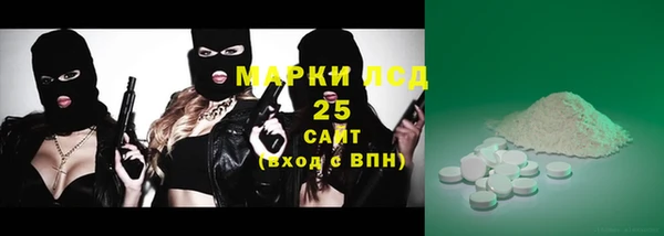 крисы Новозыбков
