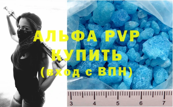 крисы Новозыбков