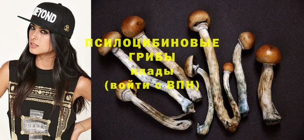 крисы Новозыбков