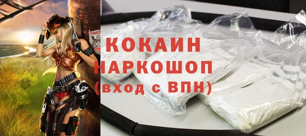 крисы Новозыбков