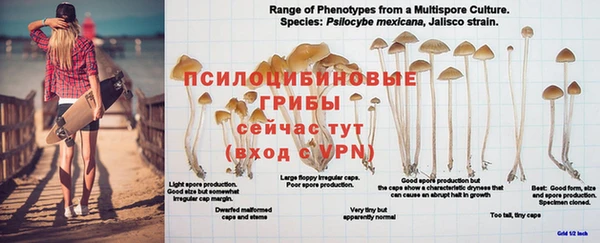 хмурый Новодвинск