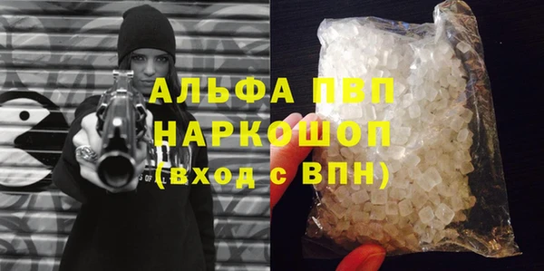 крисы Новозыбков