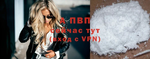 крисы Новозыбков